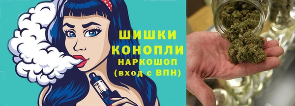 тгк Краснослободск