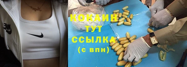 тгк Краснослободск