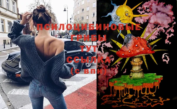 дживик Костерёво