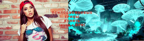 тгк Краснослободск