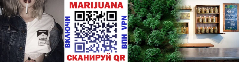 Купить  Зуевка  Каннабис SATIVA & INDICA 